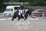BPP_7956