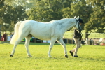 SBM_57290