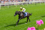 260725-Race 3-Royal Champion-7445