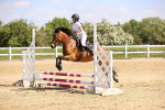 SBM_000596