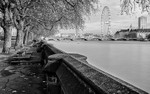 The London Eye from Westminster