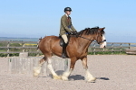 SIAL2104