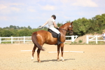 SBM_002239