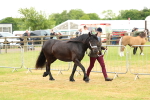 SBM_00381