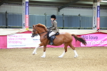 SBM_00775