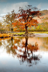 No.0006. Buttermere.