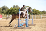 SBM_000447