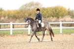 SBM_001979