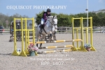 BPP_1407