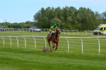 300526-Race 7-Red Rifle-0960