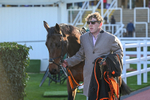 Race 7 portfolio