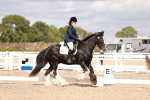 SBM_06203