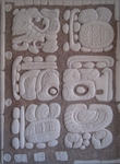 Stela at Tortuguero