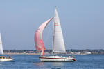 190629 FREEDOM GBR3527T 1Y3A0028