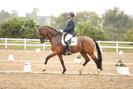 SBM_006666