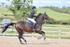 BPP_3637