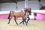 SBM_06674