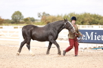 SBM_16297