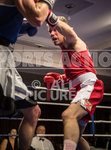 BOUT-6 Harry Bertram v Dale Johns-35