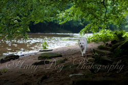 Kasper's Walkies! portfolio