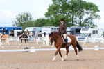 SBM_00319