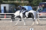 BPP_8989