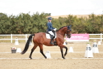 SBM_009511
