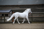 SBM_004058