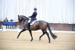 SBM_007382