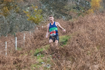 Stybarrow Dodd-662