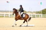 SBM_007909