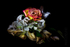 Lillies and Rose