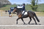 BPP_9194
