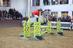 SBM_003958
