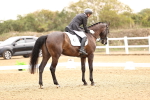 SBM_011590