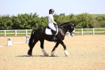 SBM_008244