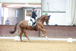 SBM_003982