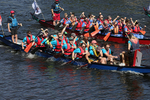THE YORK ROTARY DRAGON BOAT CHALLENGE 2026 - 44 of 426