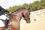 SBM_009914