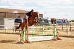 SBM_007343