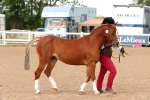 SBM_09192