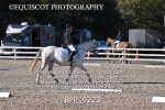 BPP_9223