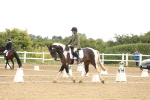 SBM_008665
