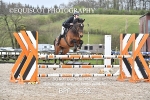 BPP_1532
