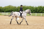 SBM_005889