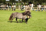 SBM_62797