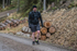 Glentress 21  10K-2000