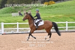 BPP_3327