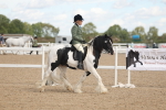 SBM_14640