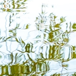 21 50P9200113